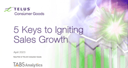 2023 CREDO Strategic Selling Webinar